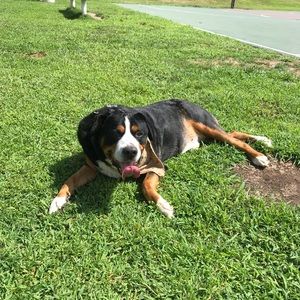 Meet your Posher, Andy